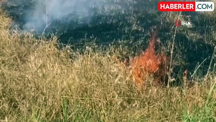 Osmaniye'de Buğday Tarlasında Yangın Çıktı