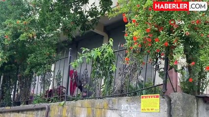 Dut toplamak için çıktığı ağaçtan düşerek demir korkuluklara saplandı