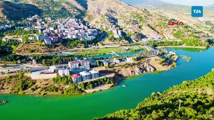 Tunceli’de 'sokak hayvanları uyutulmasın' eylemi