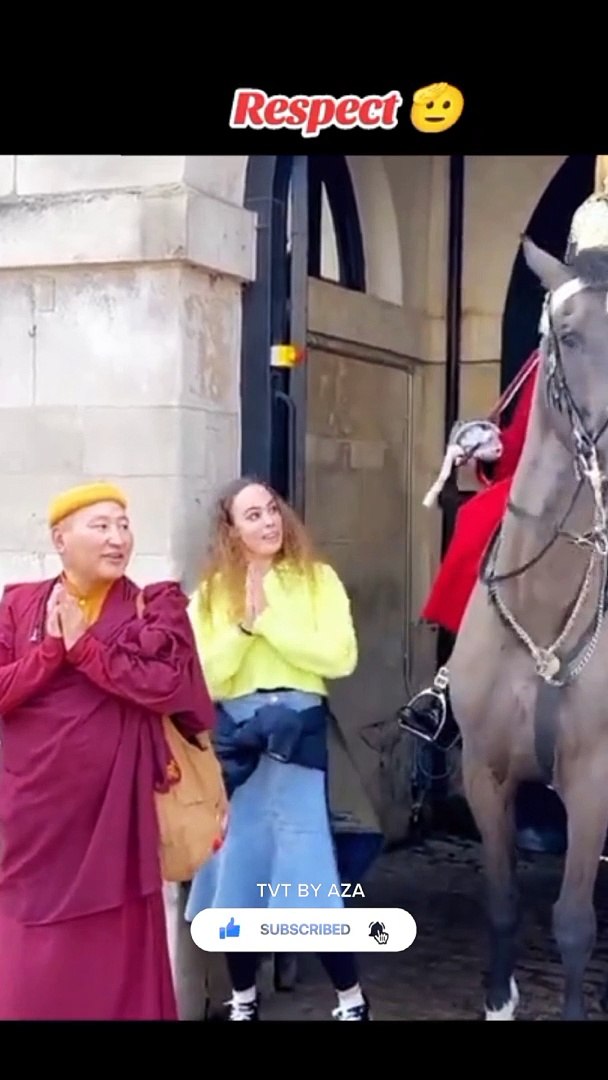 ⁣king's guards horses London  | Horse Guards, Royal guard, Kings Guard, Horse