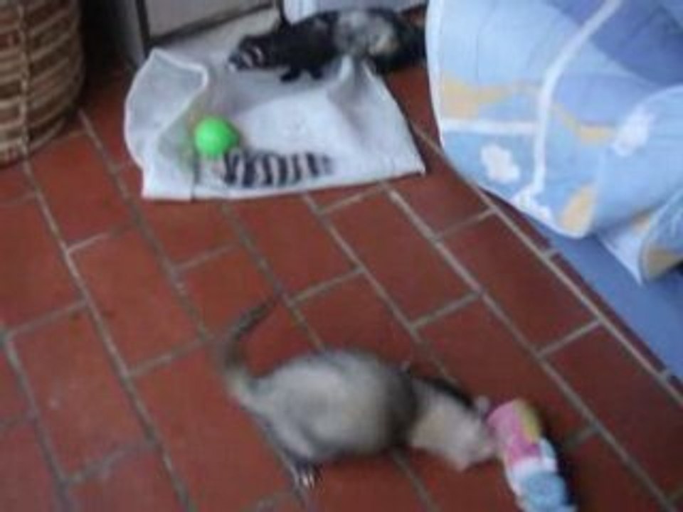 MOV00943