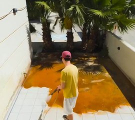 Upgrade your yard in no time with these affordable ideas!