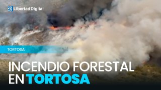 Un incendio forestal en Tortosa afecta unas 15 hectáreas
