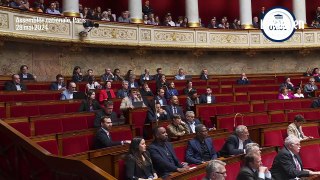 Gaza : un député LFI brandit un drapeau palestinien à l’Assemblée nationale, la séance suspendue