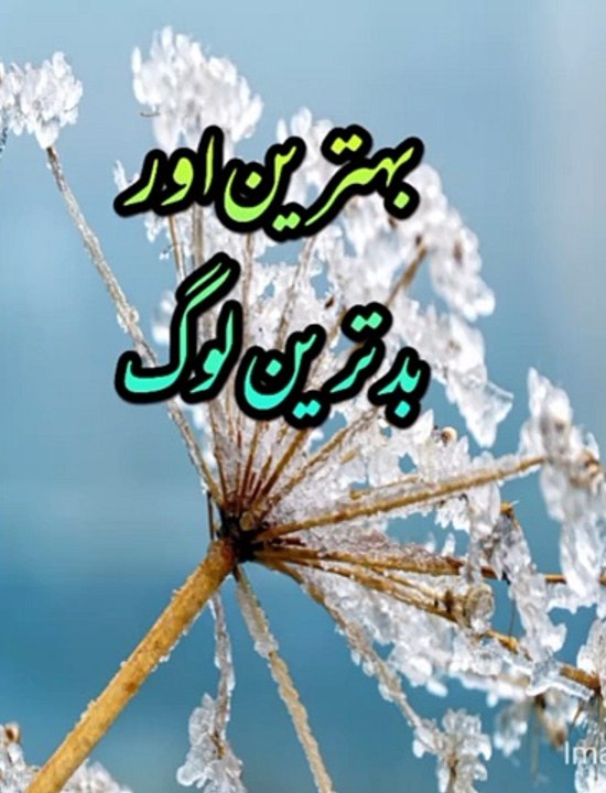 بہترین اور بدترین لوگ