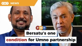 We reject a Zahid-led Umno, says Bersatu leader