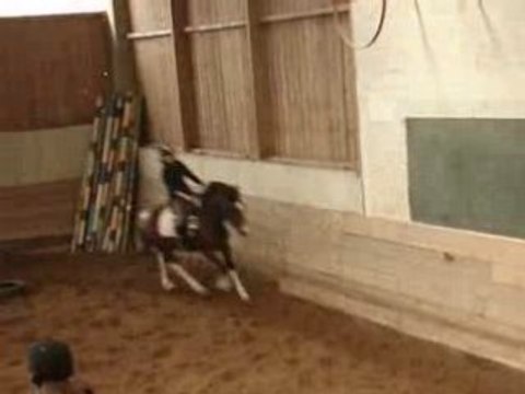 concours 6 avril cheyenne et moi au dressage =)