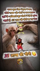 बंदरों की शुगर   #shorts #shortsfeed #sugarmill #trending #ShriKaviKumar