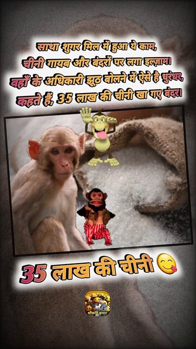 बंदरों की शुगर   #shorts #shortsfeed #sugarmill #trending #ShriKaviKumar