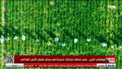 توشكى الخير.. مصر تحقق نجاحًا في مجال ضمان الأمن الغذائي
