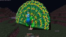 Application For Peacock SMP|Can I Will Join ?