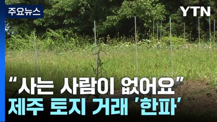 "내놔도 사는 사람이 없어요"...제주 토지 거래 '한파' / YTN
