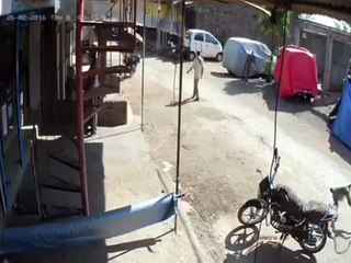 The monkey hits him with all the force