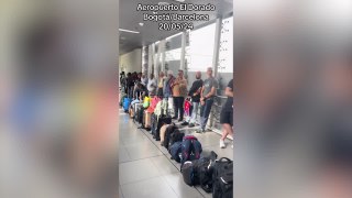 El ingenioso truco de la policía colombiana con perros rastreadores para capturar cocaína en un vuelo Bogotá - Barcelona