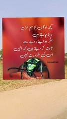 Poetry | kuch logo ko ham