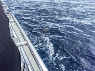 WhatsApp Video 2024-05-25 at 11.31.56 AM