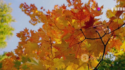 واجه صعوبات الحياة بشجاعة