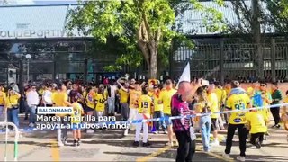 Balonmano Aranda