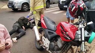 Cachorro morre em acidente de trânsito no Brasmadeira; motociclista fica ferido