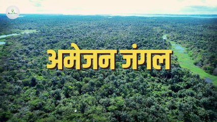 इस वजह से अमेज़न नदी पर पल नहीं बना | Why Amazon River Has No Bridge?