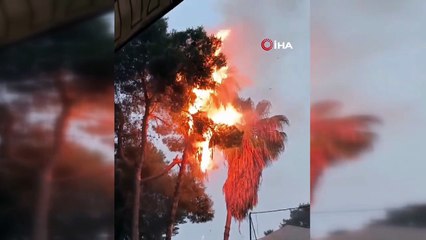 Sağanak yağış kenti göle çevirdi, yıldırım düştü ağaç alev aldı, kuşlar telef oldu