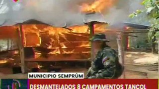 Zulia | FANB desmantela 8 campamentos e incinera más de 470 kilos de cocaína en el mcpio. Semprúm