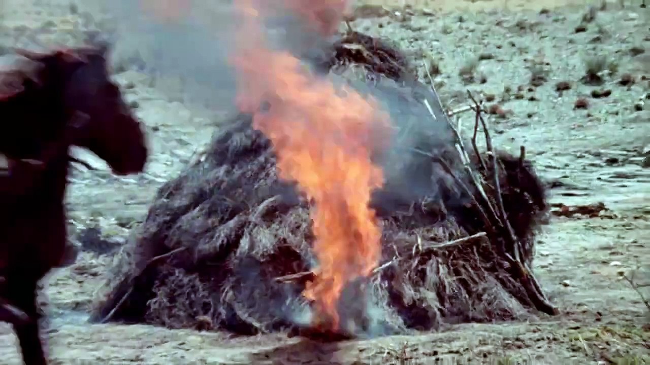 Les Collines de la terreur Bande-annonce (EN)