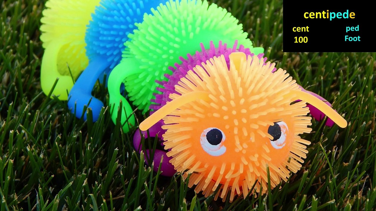 Vocab Builder for Students by Using Prefixes, Roots and Suffixes. Part 10: cent.