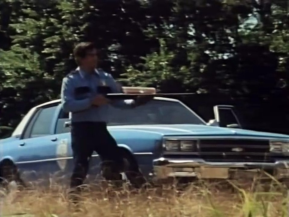 Ninja Vengeance (1993) stream deutsch anschauen