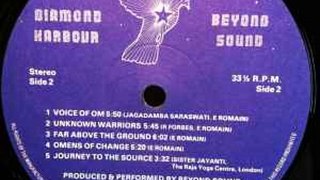 Beyond Sound – Diamond Harbour :  Rock, Pop, Folk, World, & Country, Folk, Psychedelic Rock 1982
