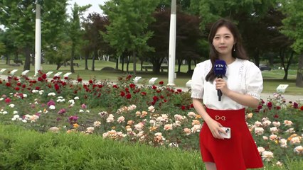 [날씨] 휴일, 전국 요란한 봄비...중서부 늦은 오후 강한 비 / YTN