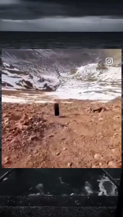 Funny Video 