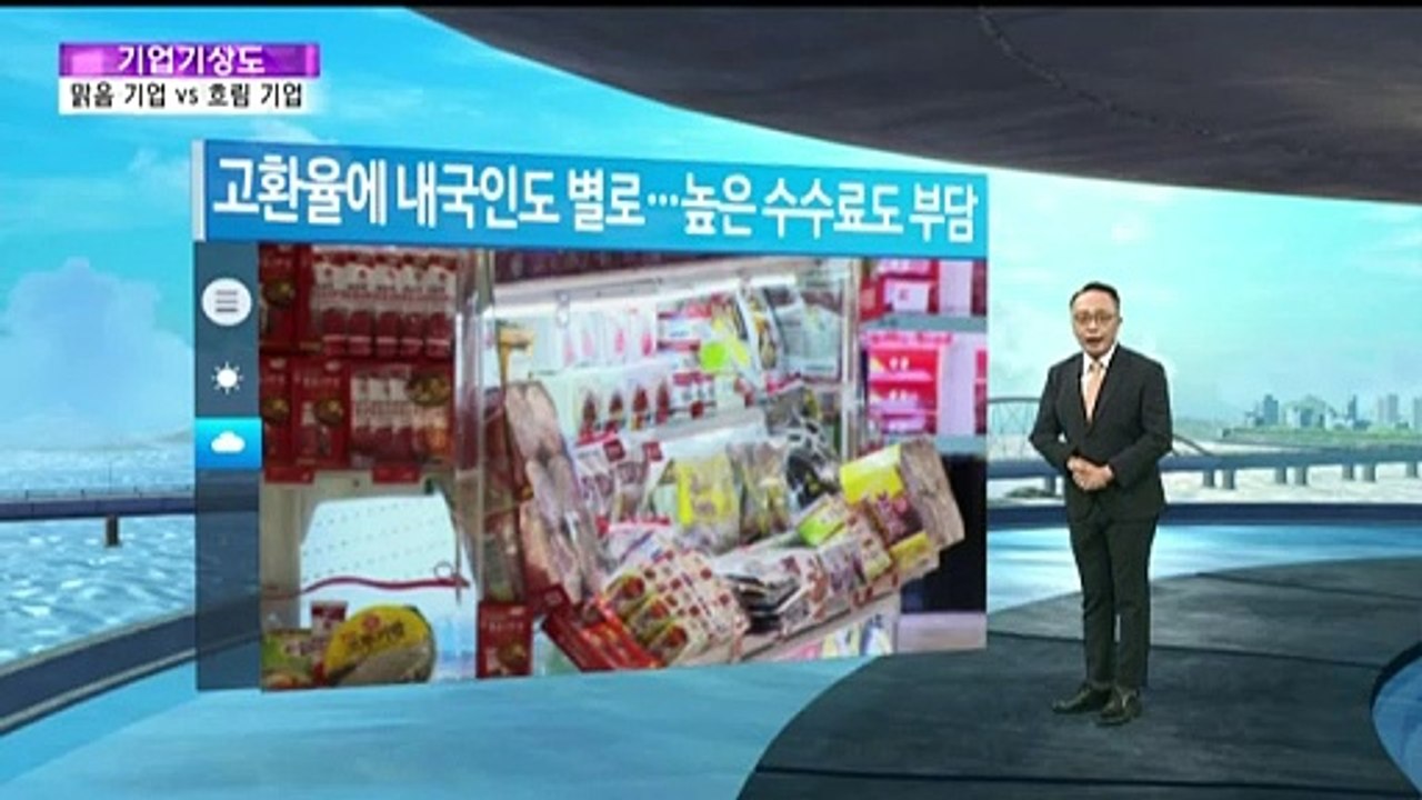 [기업기상도] 실적 호조에 맑은 기업 vs 외풍 앞에 흔들린 기업