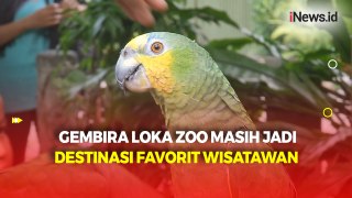 Libur Panjang Hari Raya Waisak, 10.000 Wisatawan Padati Gembira Loka Zoo Yogyakarta