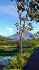 Alam #anime #cantik #alam #hitz #onepiece #sejarah #viral