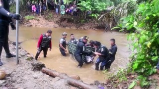 Stranded pink river dolphins rescued in Bolivia