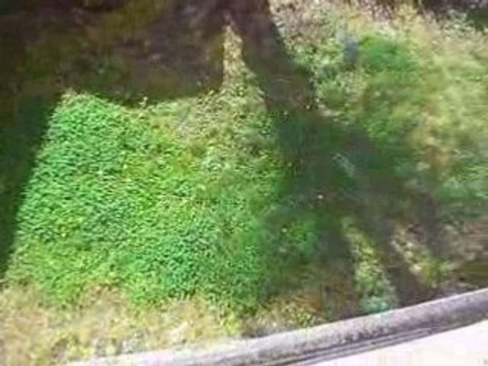 Vue sur jardin appartement roanne cuisine équipée, appart vendu par zetrader en bénéfice