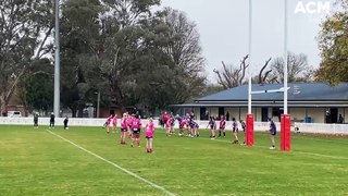 Bathurst Panthers Pink vs Bloomfield Tigers under 14s