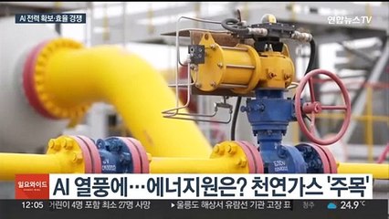 '전기 먹는 하마' AI…효율 높이기 경쟁