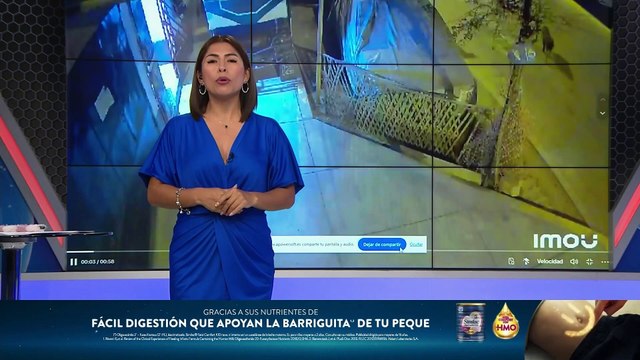 Comas: perrito resulta herido al ser atropellado por camioneta de Serenazgo