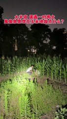 Khat me pakde gaye boyfriend and girlfriend