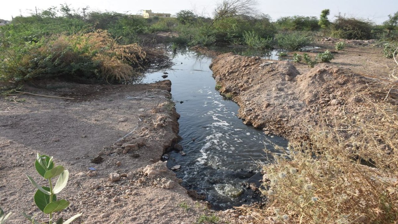सीवरेज की पाइपलाइन से ओल्फ्लो होकर खुले में बह रहा दूषित पानी, बदबू से जीना मुहाल