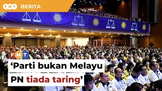 Parti bukan Melayu PN tiada ‘taring’, kata penganalisis berkait cadangan kerjasama MCA
