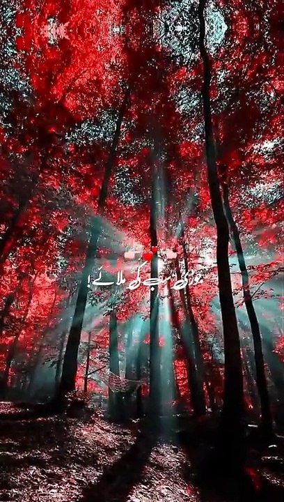 Easy Face Painting | Darw Face sketching | #foryou #shorts #yotubeshorts #facebook #reels #viral