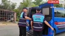 İçişleri Bakanı Yerlikaya: 'Sibergöz-41' Operasyonunda 65 Şüpheli Yakalandı