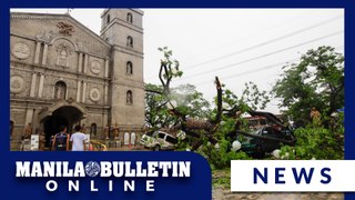 Century-old tree felled by 'Aghon' in Taytay, Rizal