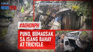 #AghonPH Puno, bumagsak sa isang bahay at tricycle | GMA Integrated Newsfeed