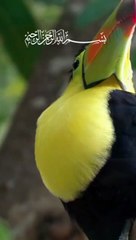 Do good deeds that you like