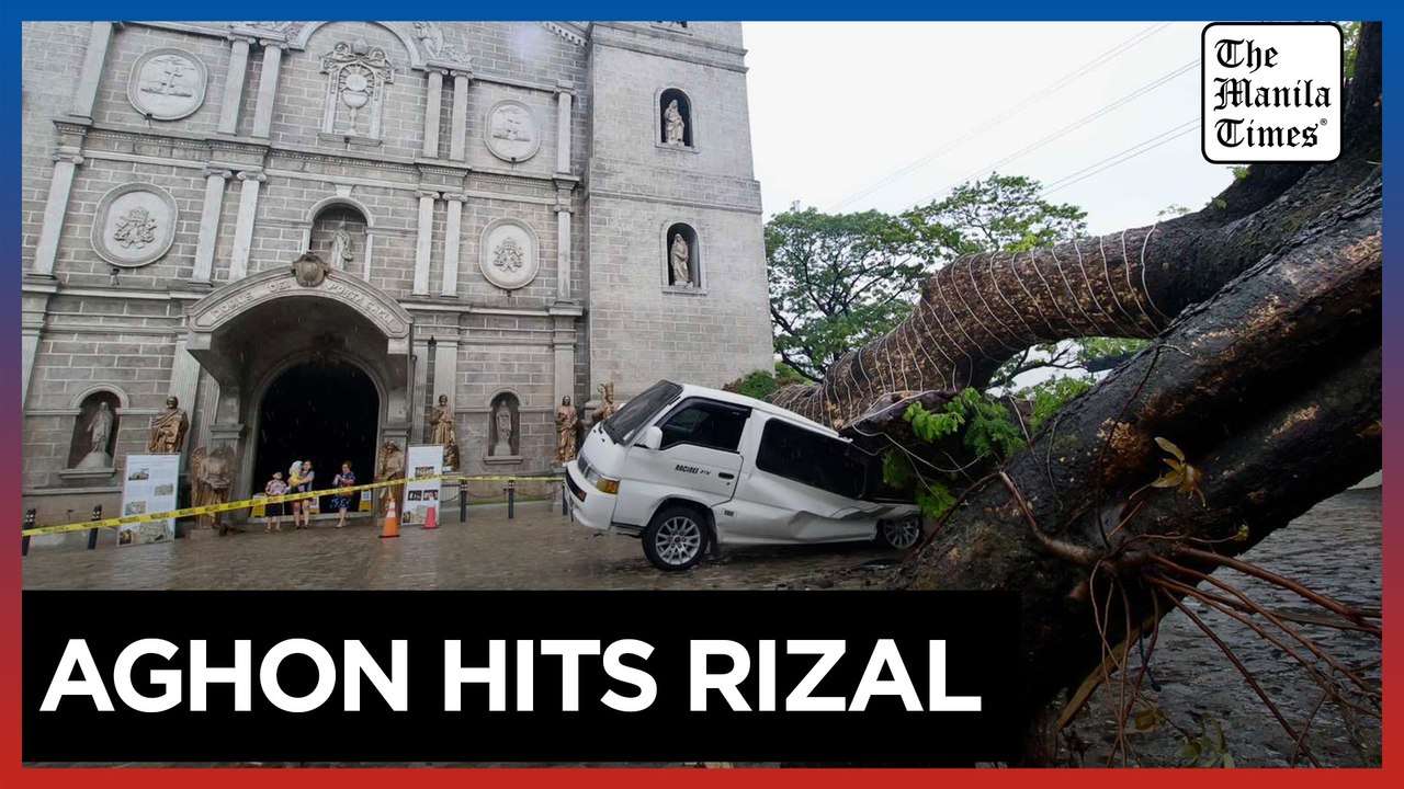 Storm Aghon topples tree