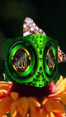 دکھ کٹ دے مدینے دے سائیاں |نعت